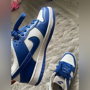 Kentucky jordan dunks